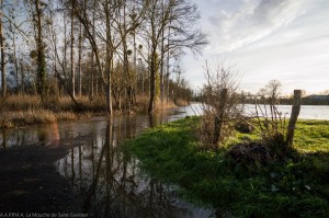 Canal du Moussard débordant dans les marais                        